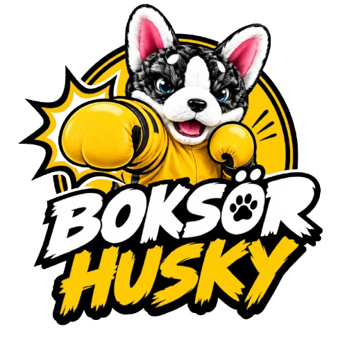 BOKSÖR HUSKY